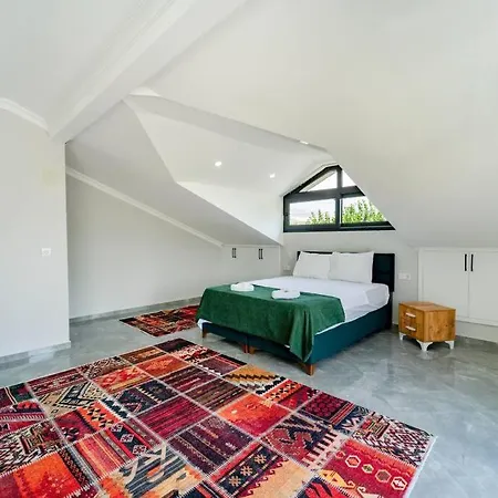 ヴィラ Rmg Villas Fethiye ケメル