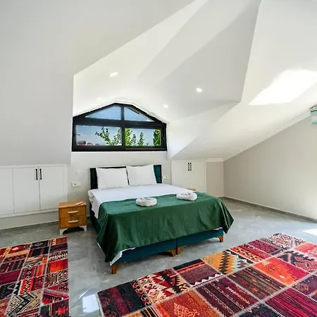 ヴィラ Rmg Villas Fethiye *